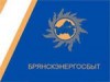 ОАО «Брянскэнергосбыт» установил свой первый справочно-информационный терминал