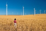 Зеленая энергетика станет визитной карточкой Ставрополья