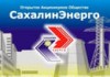 "Сахалинэнерго" рекомендует гражданам навести порядок в общедомовых электрических сетях